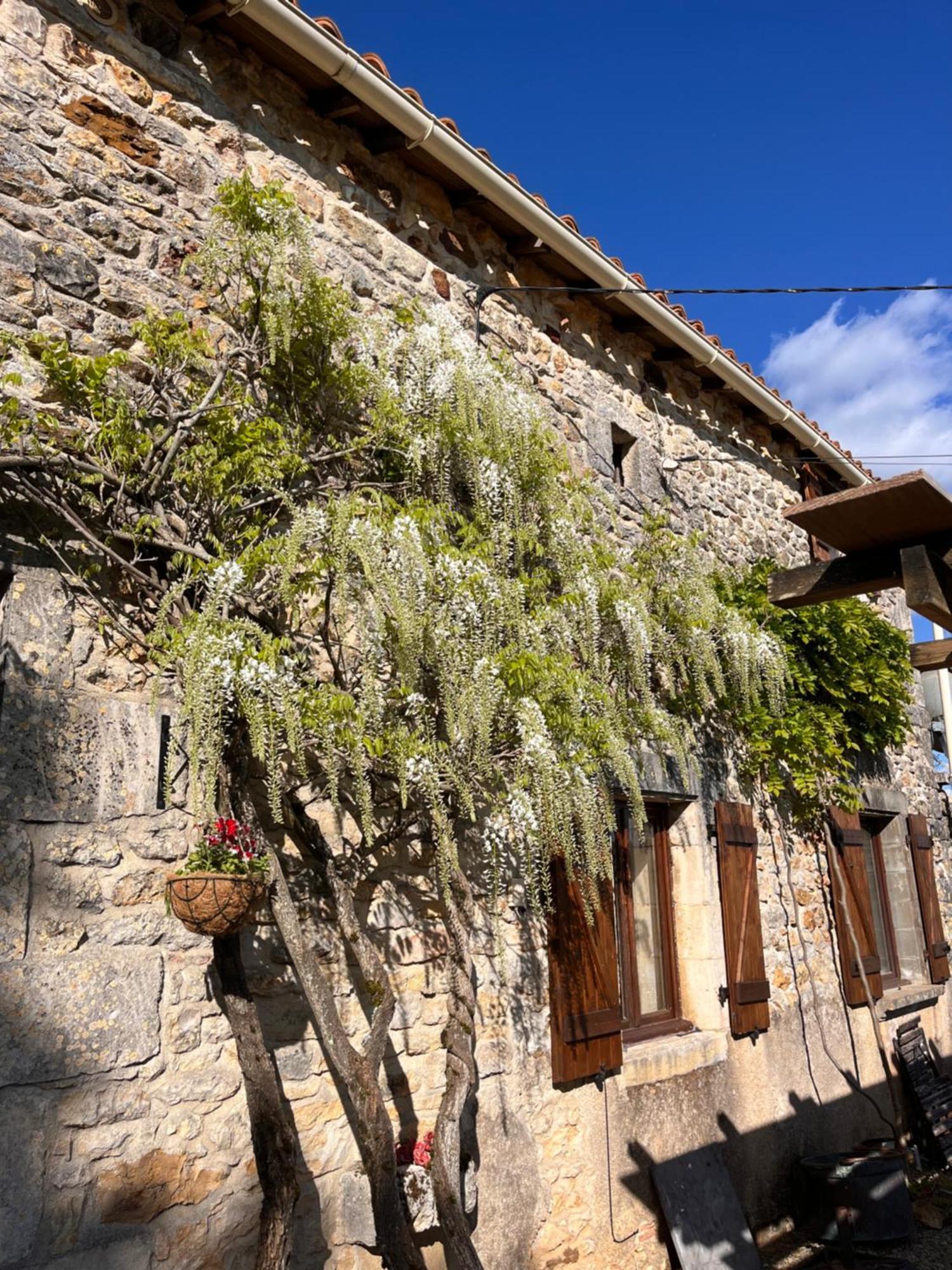 Le Plantier2 Villa Beaulieu-sur-Sonnette Bagian luar foto